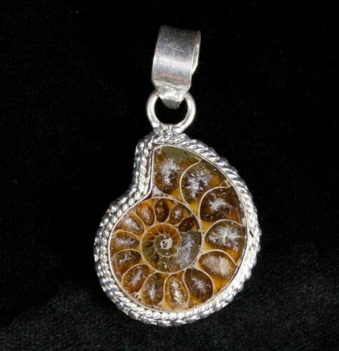 Cut & Polished Ammonite Pendant #3155